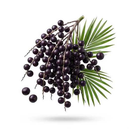 Acai Berry