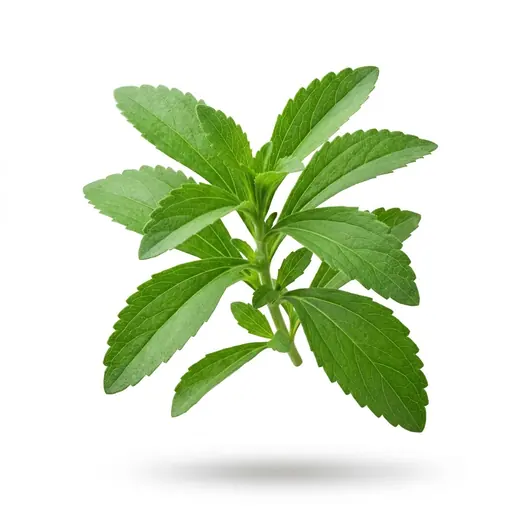 Stevia Rebaudiana Extract Powder