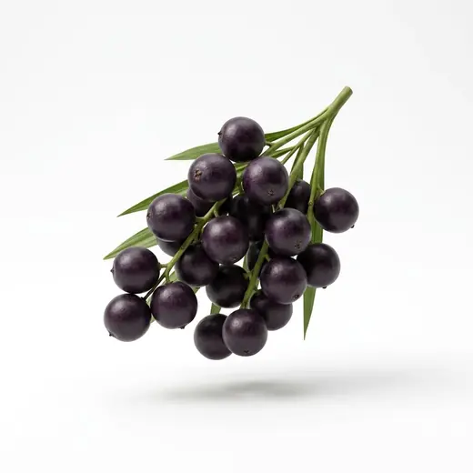 Acai Berry