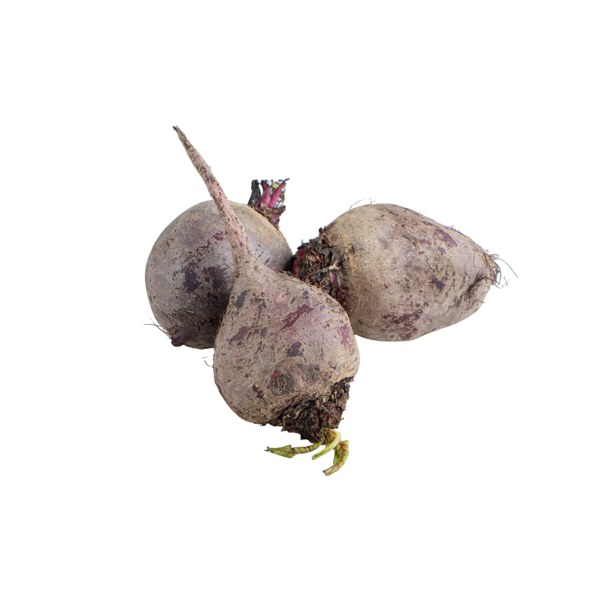 Maca Root Extract