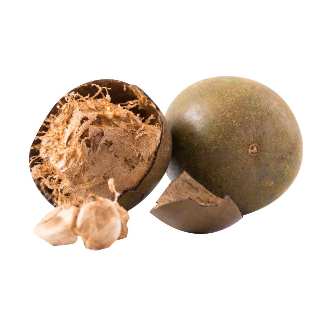 Untitled design (11)